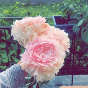 Meet your Posher, Maram